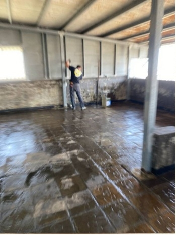 Step 5 (Day 1): Apply Primer Coat with roller-3