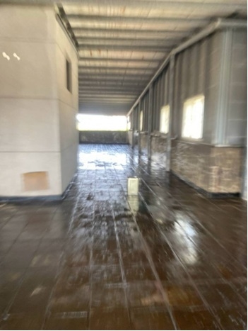 Step 5 (Day 1): Apply Primer Coat with roller-4